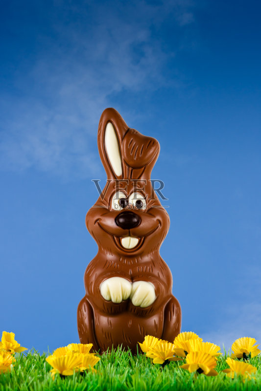 微笑巧克力兔子在绿色的田野