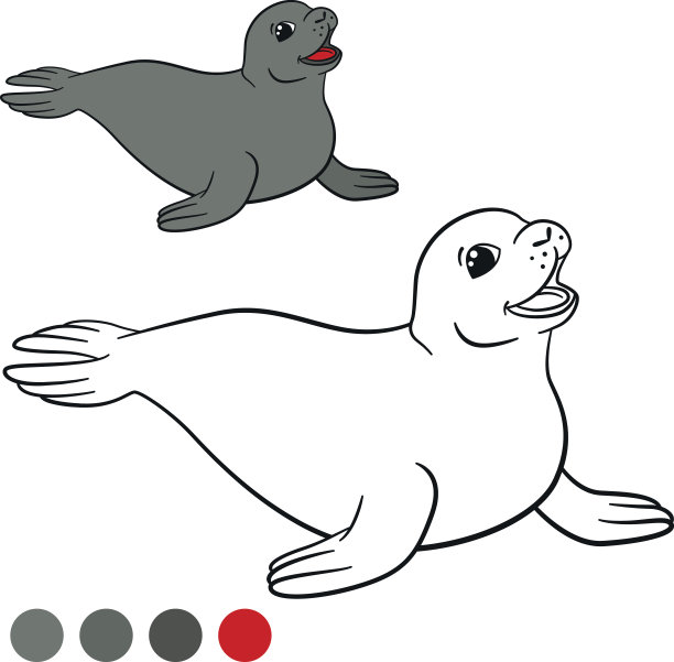 斑海豹图片卡通图片