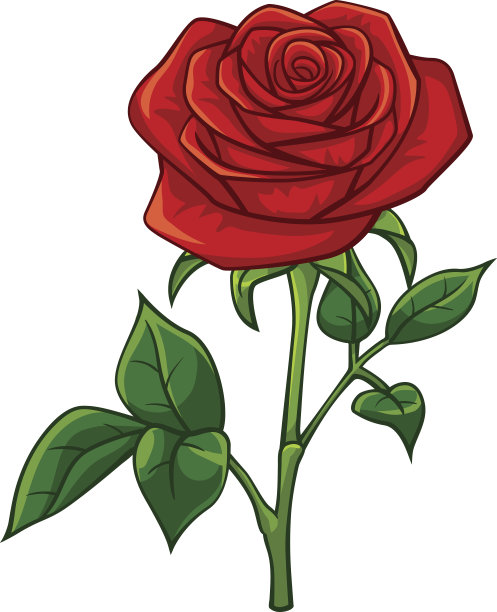 关于玫瑰的动漫插图图片