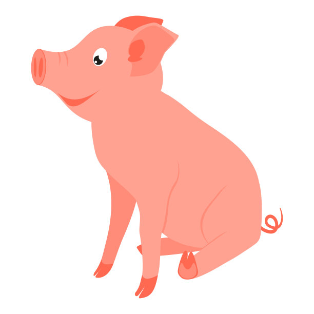 猪侧面插画图片