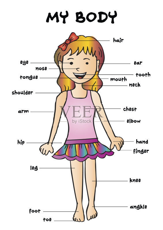 我的身体,教育信息图表为孩子们显示一个可爱