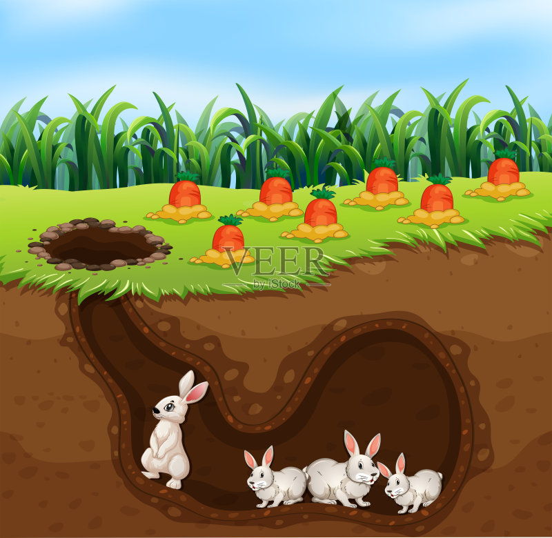 一个生活在洞里的兔子家庭